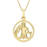 9ct Yellow Gold Aquarius Zodiac Pendant