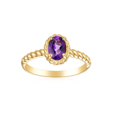 9ct Yellow Gold Oval 7x5mm Amethyst February Ring