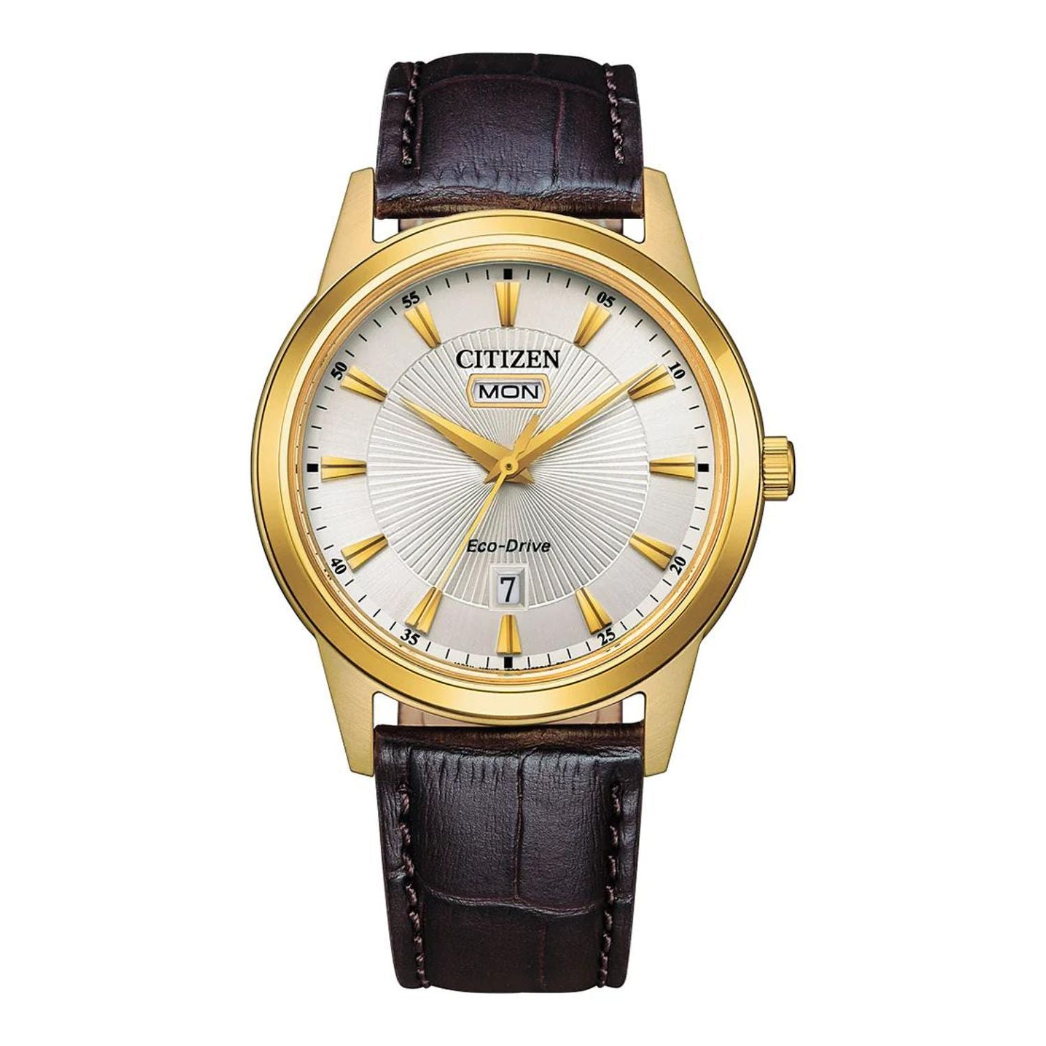 Citizen Eco-Drive Watch AW0102-13A